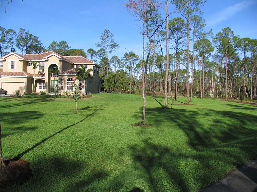 Residential Landscape in Naples, Florida 2