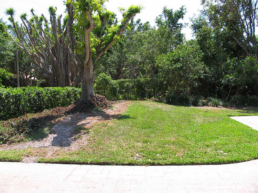 Port Royal Landscape Design Photos 3